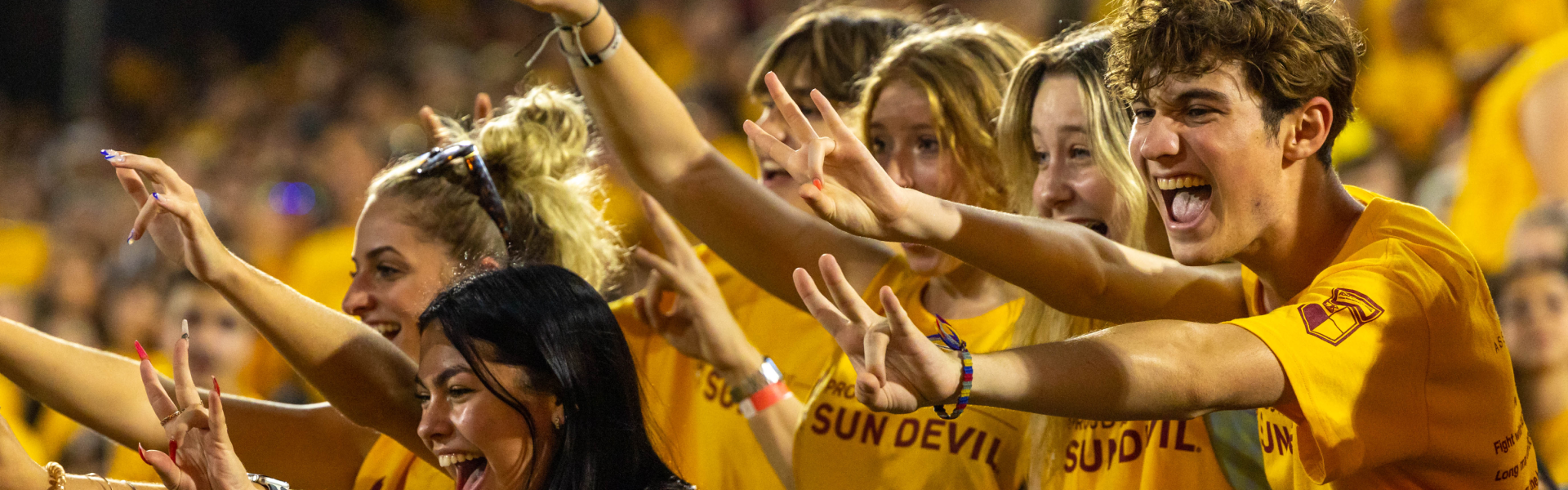 Fans cheering from stands