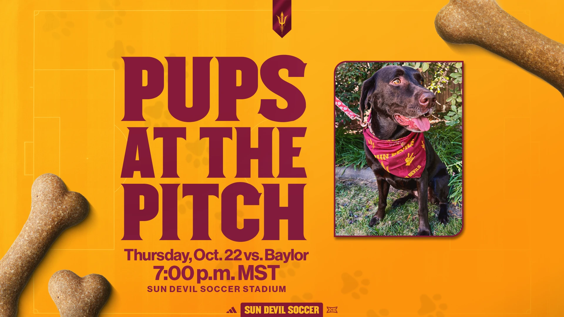Pups at the Pitch