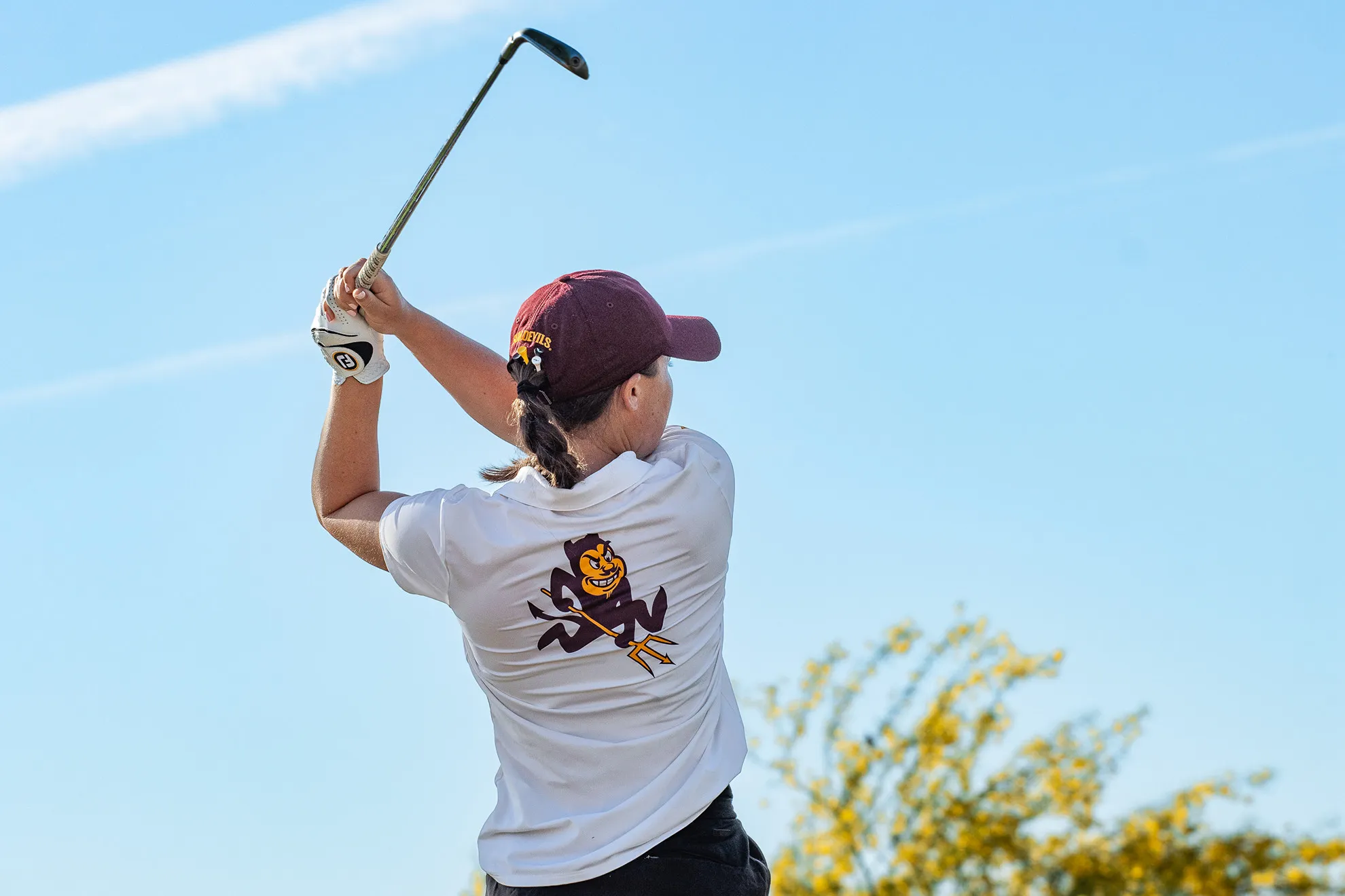 Image from ASU News