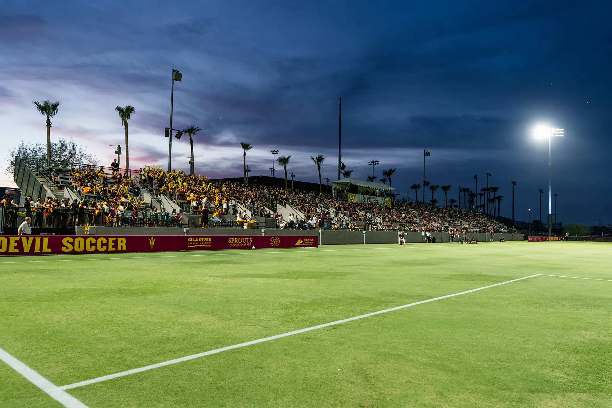 Image from ASU News