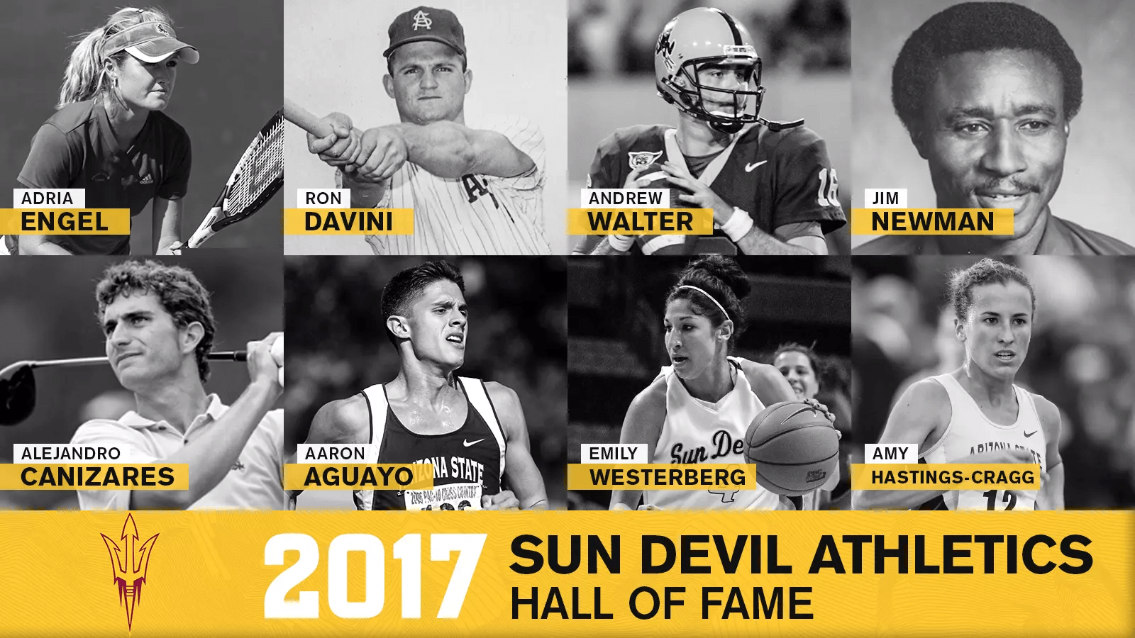 2017 Hall of Fame class