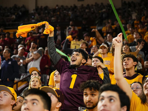 Fans cheering in crowd